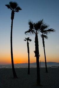 Silhouette palm trees on beach against sky during sunset