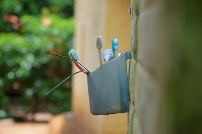 Toothbrushes in a plastic holder. toothbrush hanging on the bathroom wall.