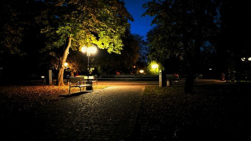 Street light in park at night