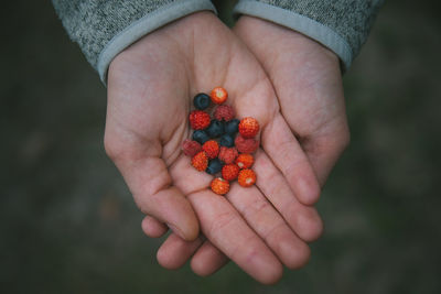 Cropped hands holding berries