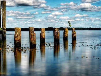 Wooden posts in sea against sky