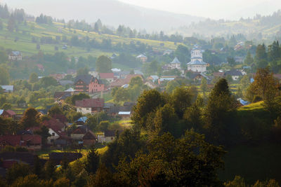 Townscape amidst trees during foggy weather