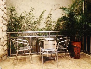 Chairs and palm trees against plants