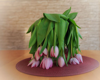 Close-up of pink roses on table