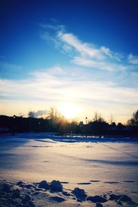 Snow covered trees against sky