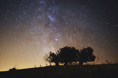 Low angle view of starry sky