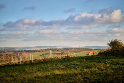 Scenic view of field against sky