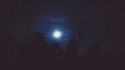 Low angle view of silhouette trees against sky at night