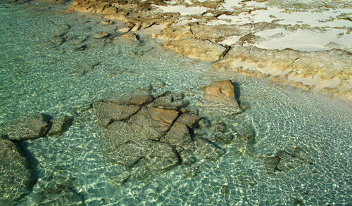 Shallow sea water in maldives