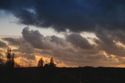 Silhouette trees against sky during sunset