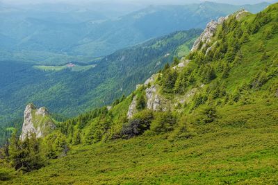 Scenic view of landscape