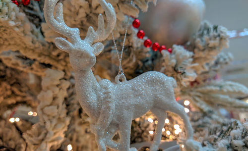 Close-up of frozen christmas decoration
