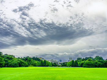 Scenic view of field against sky