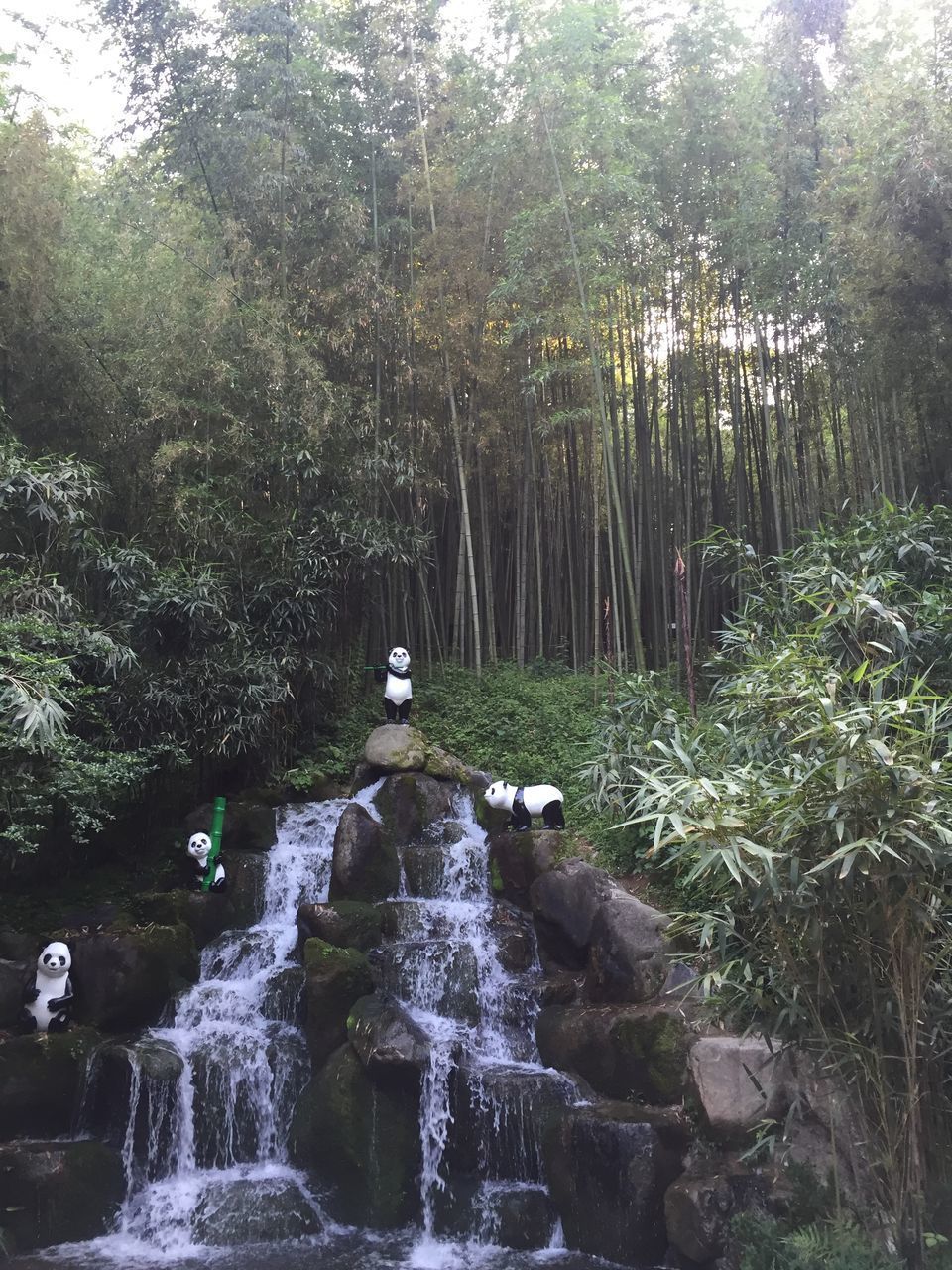 WATER FLOWING THROUGH ROCKS IN FOREST