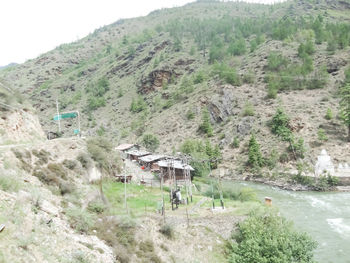 Scenic view of agricultural field