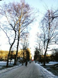 Bare trees on snow covered landscape