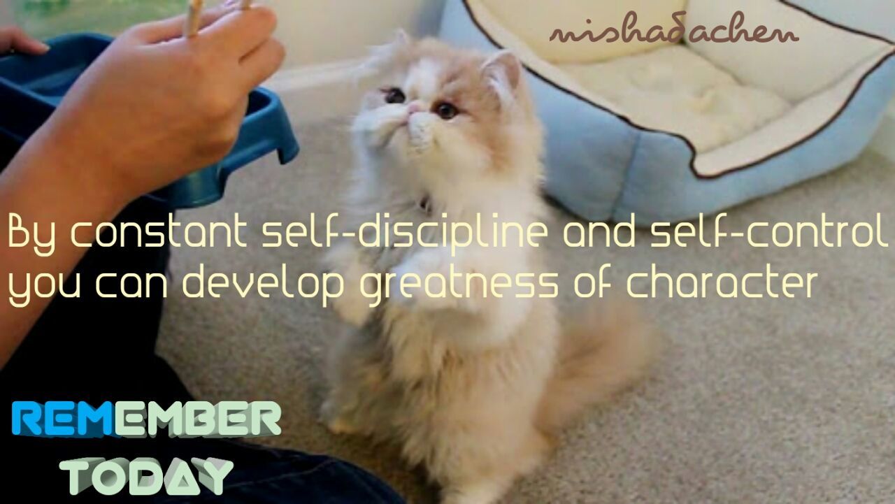 Selfdiscipline