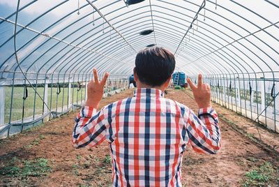 Rear view of man showing peace signs in polyethylene tunnel