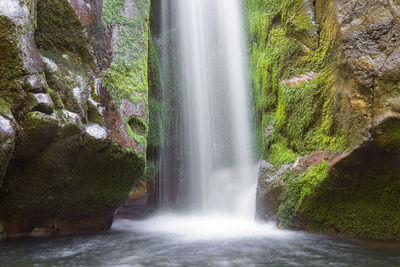 Scenic view of waterfall in forest