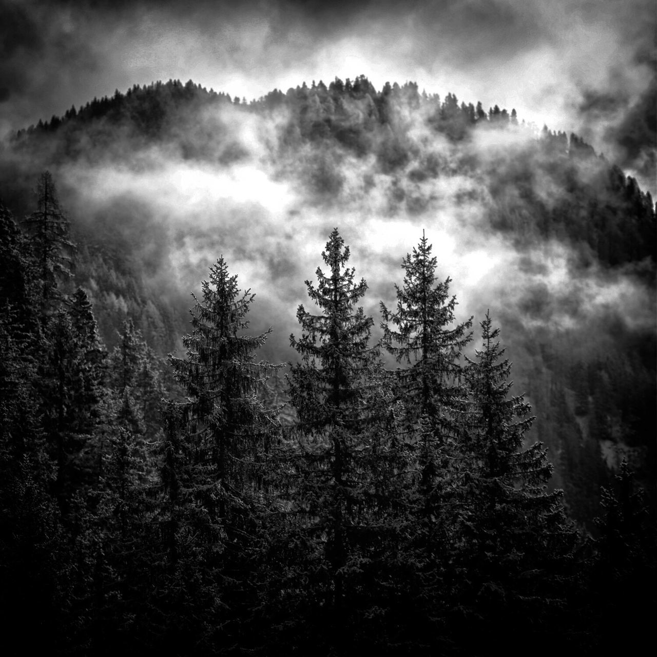 Roman Neimann