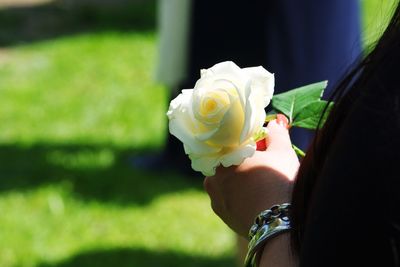 Close-up of hand holding rose bouquet