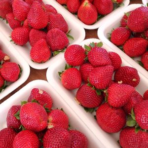 High angle view of strawberries