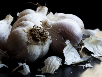 Close-up of pumpkins against black background