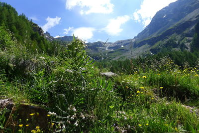 Scenic view of mountains