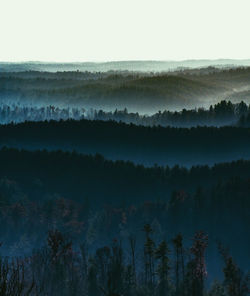 Scenic view of forest against sky during winter