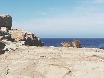 Scenic view of rocks on beach against sky