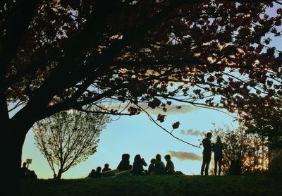 Low angle view of trees against sky
