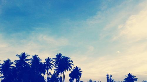 Low angle view of trees against sky