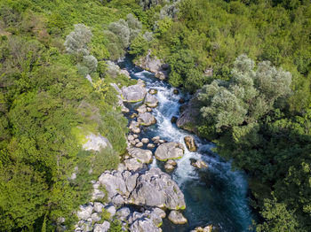 Stream flowing through rocks in forest