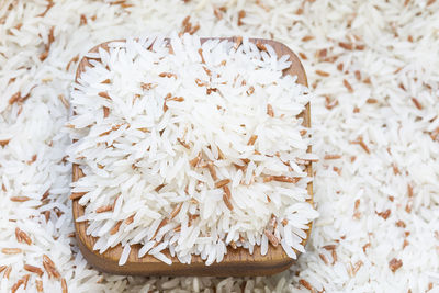 High angle view of bread on plant