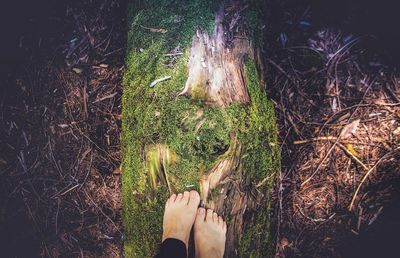 Low section of woman standing on log in forest