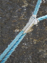 Close up of blue umbrella