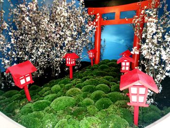 Red lanterns against trees and plants