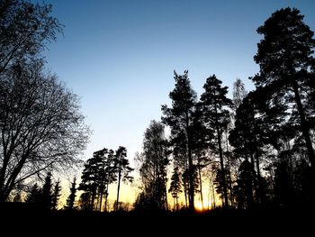 Low angle view of silhouette trees against sky during sunset