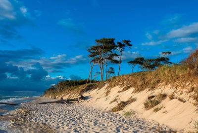 Scenic view of beach against blue sky