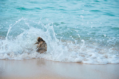 High angle view of waves splashing on shore