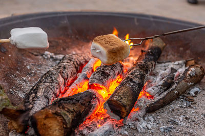 Toasting marshmallows over campfire in the summertime