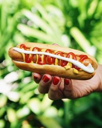 Close-up of hand holding hot dog