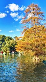 Scenic view of lake by trees against sky during autumn