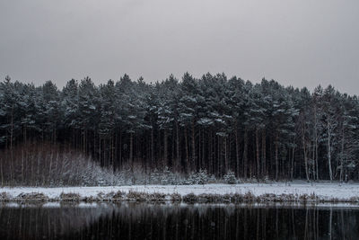 Scenic view of lake in forest during winter