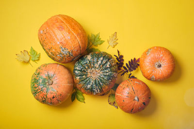 Close-up of pumpkin against orange background