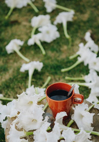 Close-up of ice cream in snow on field