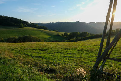 Scenic view of field against sky