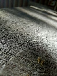 Surface level of wood