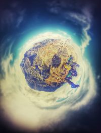 Close-up of plant against white background