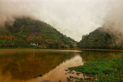 Scenic view of lake by trees against sky